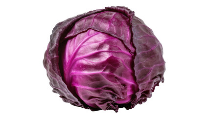Obraz premium Red cabbage head with vibrant purple leaves and visible veins