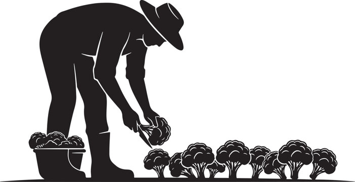 Silhouette of a farmer planting broccoli, with a bucket