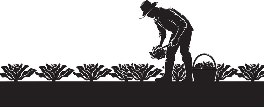 Silhouette of a farmer planting, with basket and lettuce