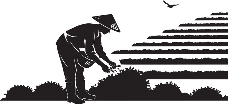 Silhouette of a farmer working in a field with terraced crops