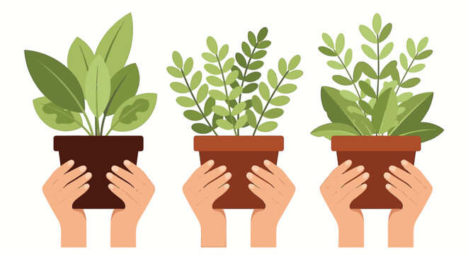 Flat vector illustration set of human hands holding three different potted indoor green plants in terracotta pots isolated on white background, eco-friendly gardening concept.