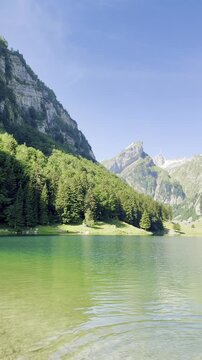 "Stunning view of clear green alpine lake surrounded by lush pine forests and majestic rocky mountain peaks under a clear blue sky"
