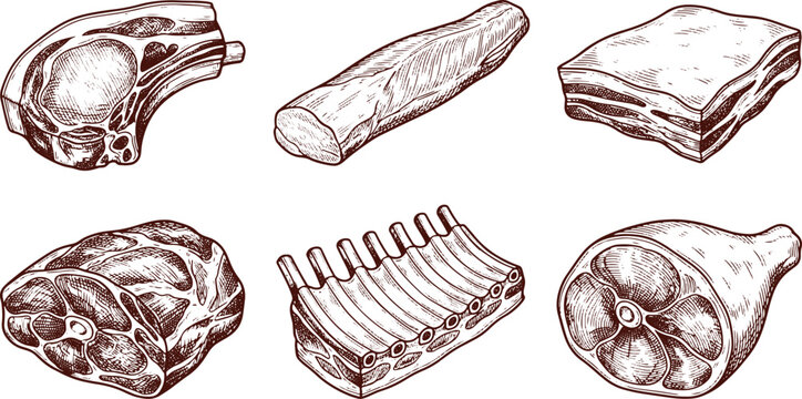 Vintage engraved pork cuts collection featuring chops loin belly ribs roast and ham