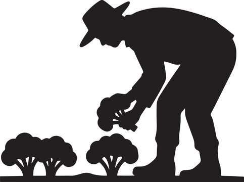 Silhouette of a man planting trees, with hat and bent posture