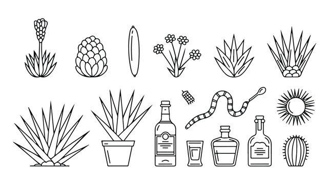 black line art illustrations of agave plants and tequila bottles and glasses