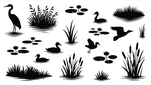 black silhouettes of pond plants and birds on white background