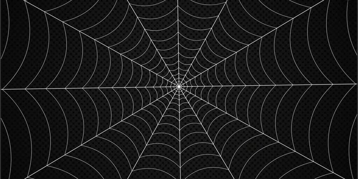 Intricate Spider Web Graphic Detail on Dark Textured Background