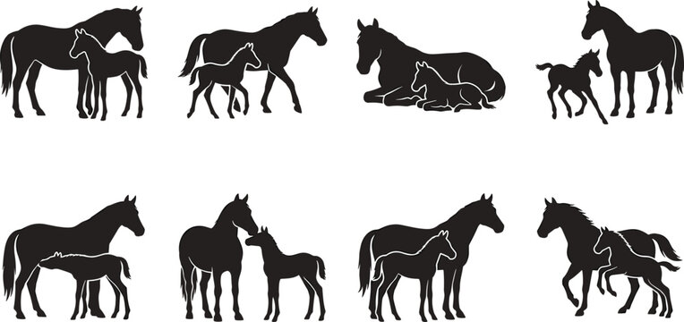 Black horse silhouettes vector set featuring mare and foal in various natural maternal poses on white background