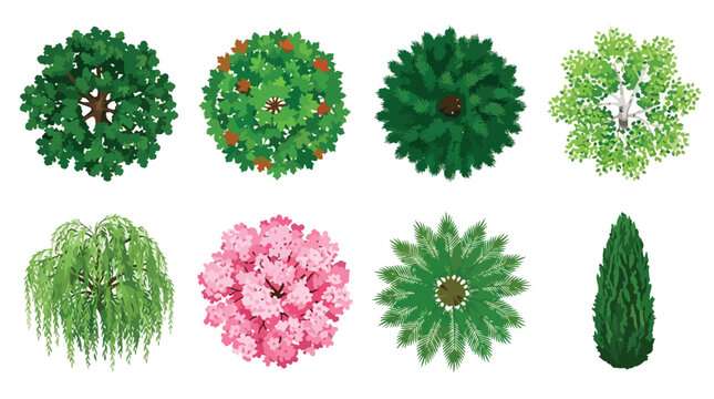 Top view tree collection, 8 architectural landscape symbols for site plans, green garden plants and pink flowering cherry blossom vector set