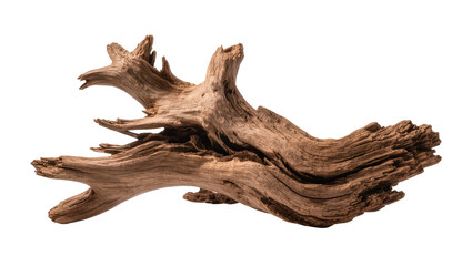Gnarly weathered driftwood branch with intricate texture, isolated on transparent background © Maria
