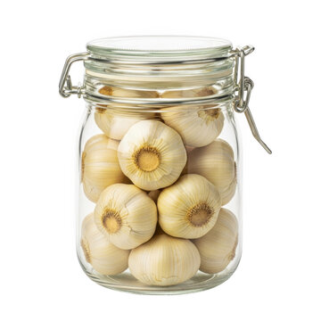 Fresh garlic bulbs stored in a glass jar with lid isolated on transparent background