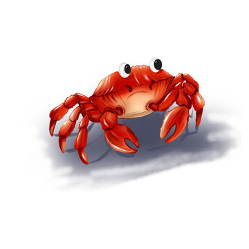 Crab. Summer illustration. Sea. Beach. Marine postcard. Marine theme. Raster illustration. Png