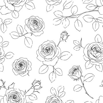 Luxury minimal flower pattern, hand-drawn black line roses and leaves, bold clean outlines, pure white backdrop, modern fashion print, sophisticated seamless repeat, high-selling surface pattern. 3.