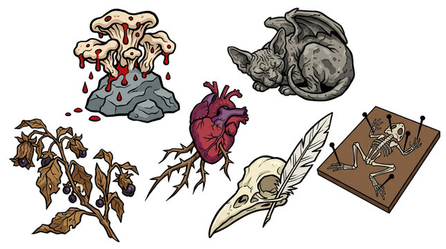 Macabre Dark Fantasy Biological Specimen Icons with Gargoyle Cat Bleeding Heart and Pinned Frog Skeleton on Transparent Background