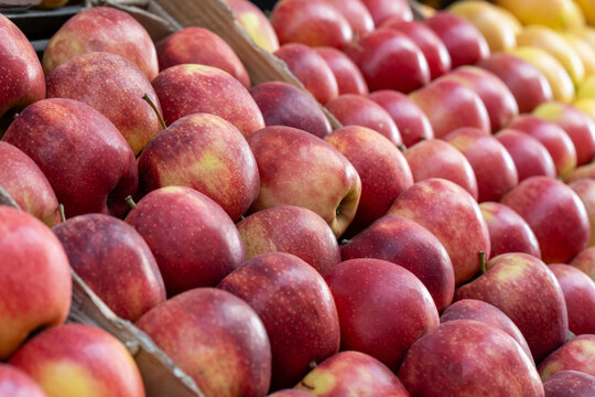 Red apples on a market stall. Yummy pile of apples in a market stall. Close-up	
