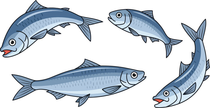 Five mackerel fish swim in a circular pattern.