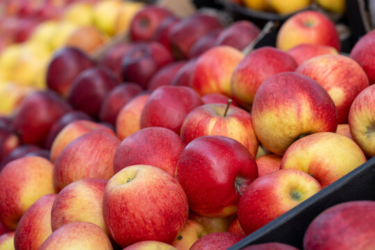 Red apples on a market stall. Yummy pile of apples in a market stall. Close-up	
