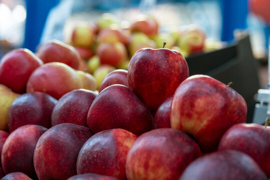 Red apples on a market stall. Yummy pile of apples in a market stall. Close-up	
