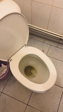 Dirty public toilet bowl showing urine, open lid and porcelain bowl stained yellow with crumpled tissue inside, tiled floor