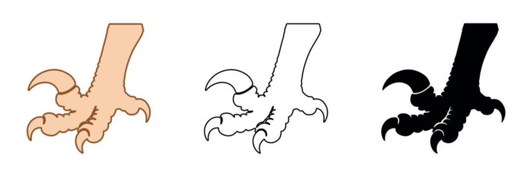 Bird of prey talon and claw set in three distinct styles