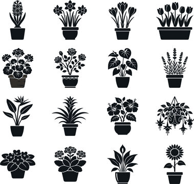 Vector silhouette icon set of various blooming houseplants and potted flowers featuring tulip rose sunflower lavender geranium hibiscus and peace lily