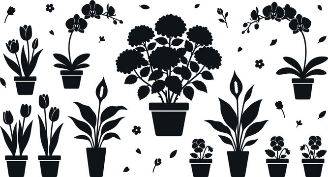 Vector silhouette icon set of various blooming houseplants and potted flowers featuring hydrangea orchid tulip peace lily and pansies
