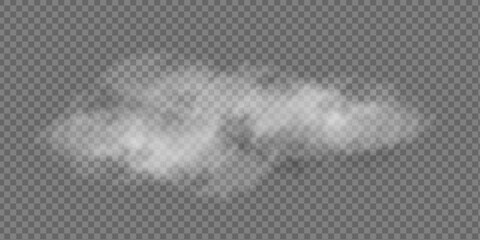Clouds of white smoke or steam with realistic texture on transparent background. Vector smoke to simulate fog, cold breath, magic effect or explosion. © A_stock