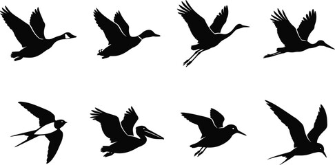 Naklejka premium Set of flying birds silhouettes isolated on white background depicting migratory waterfowl and wild avian species