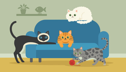 Naklejka premium Group of diverse domestic cats including siamese and striped tabby playing and resting on a blue sofa in a cozy living room.