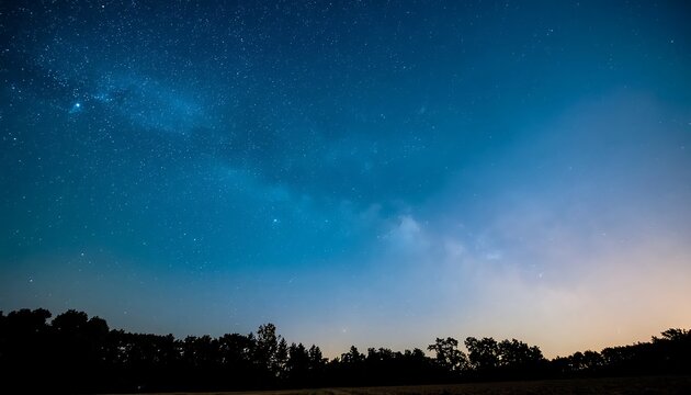 Tranquil Night Sky with Stars and Trees.