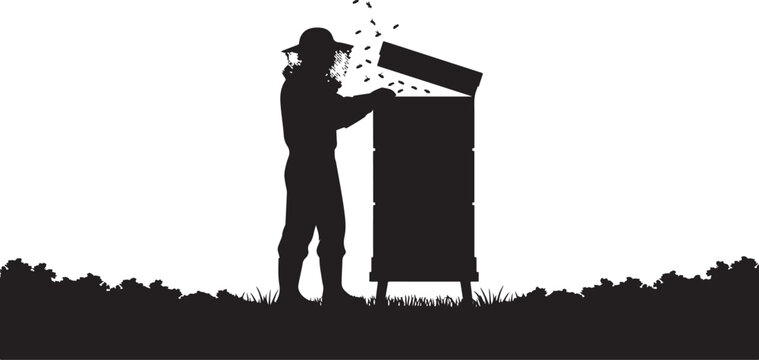Beekeeper, silhouette of man inspecting beehive with bees