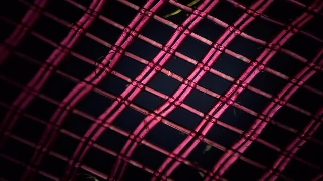 Red tulle fabric under microscope 100x magnification - Macro texture