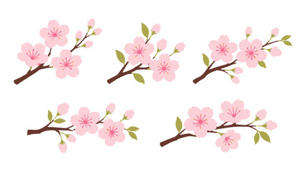 Pink cherry blossom branches flat vector illustration set © icon_art
