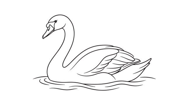 Minimalist swan line art vector, elegant mute swan swimming on water surface, black and white bird outline for coloring book or logo design isolated on White Background