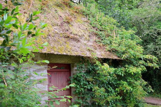 Cabane au toit de chaume