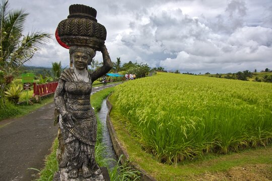 A traditional stone statue of a Balinese woman carrying a basket on her head stands beside a path, overlooking the green Jatiluwih rice terraces under a cloudy sky in Bali, Indonesia