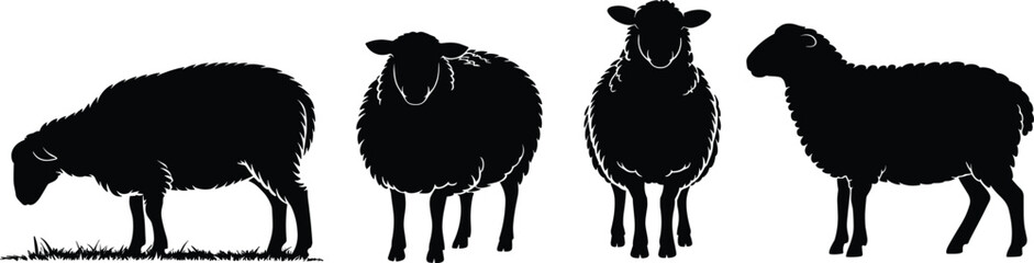 Four Black Silhouette Sheep Posed Against White Background With Grass Detail animal © QueenMomtaz 
