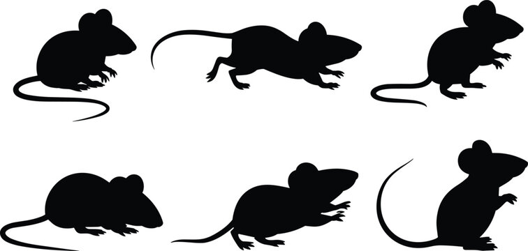 Six Black Mouse Silhouettes in Different Poses on White Background mice animal