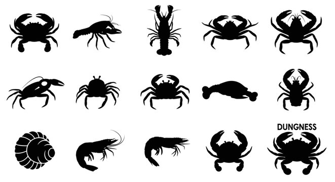 Edible crustaceans and seafood shell icon set.