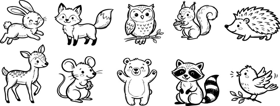 Cute Hand Drawn Forest Animal Set for Kids Coloring Book and Vector Illustrations