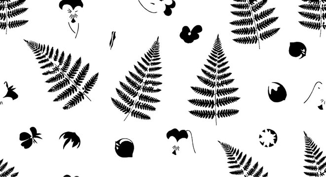 Black and white fern leaf and berry pattern design.