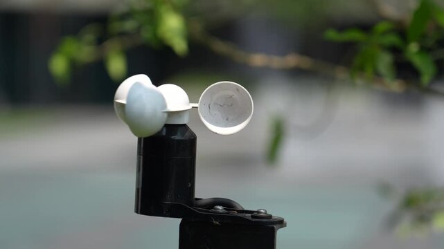 White cups of a black anemometer rotate slowly outdoors, capturing wind speed. Green foliage and a blurred light background are visible on a sunny day