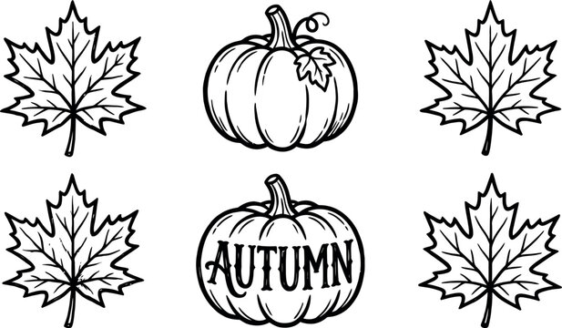 A collection of black and white hand drawn illustrations featuring four distinct maple leaves and two pumpkins, one of which displays the word autumn clearly.