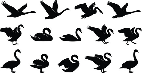Swan silhouette set vector illustration, wild birds flying and swimming, elegant geese pond © VectoStudio