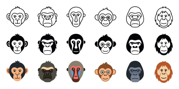 Monkey and ape face icon set featuring chimpanzee, gorilla, mandrill, orangutan, and baboon heads in outline, solid black, and colorful flat vector styles