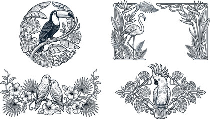 Vintage Tropical Bird and Floral Frame Set Featuring Hand Drawn Toucan Flamingo Cockatoo and Parrots with Monstera Hibiscus Foliage Illustrations Vector © Md