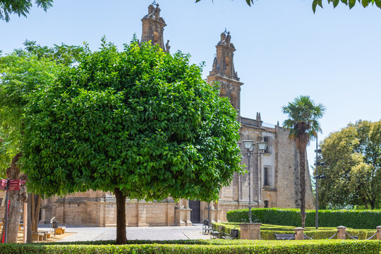 Plaza V&aacute;zquez de Molina con arquitectura renacentista, &Uacute;beda, Espa&ntilde;a