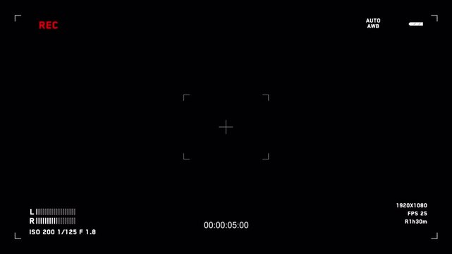 Professional digital camera viewfinder overlay recording interface.