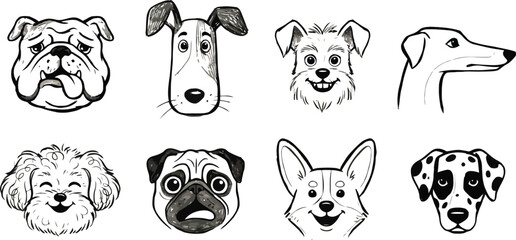 Obraz premium Vector illustration of various dog breeds faces