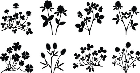 Fototapeta premium Wildflower and Clover Silhouette Collection with Botanical Meadow Plants Vector Illustration Set